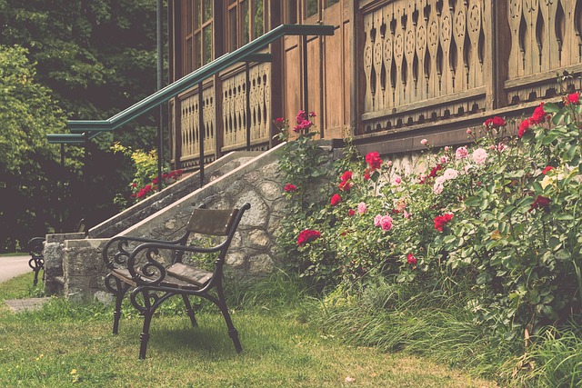 媒体的生态 媒体的生态