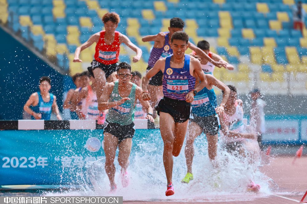 冰壶运动自 冰壶运动自