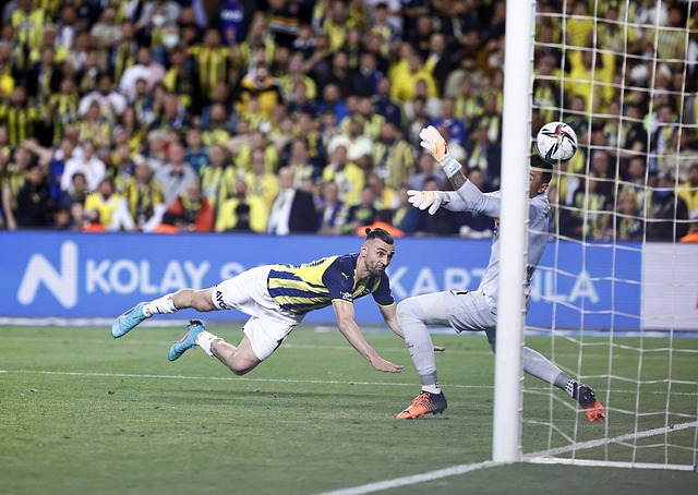 他们也有许 他们也有许