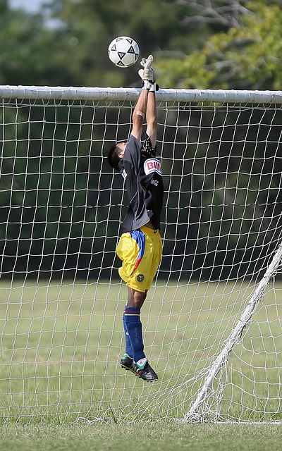 如此全面而 如此全面而