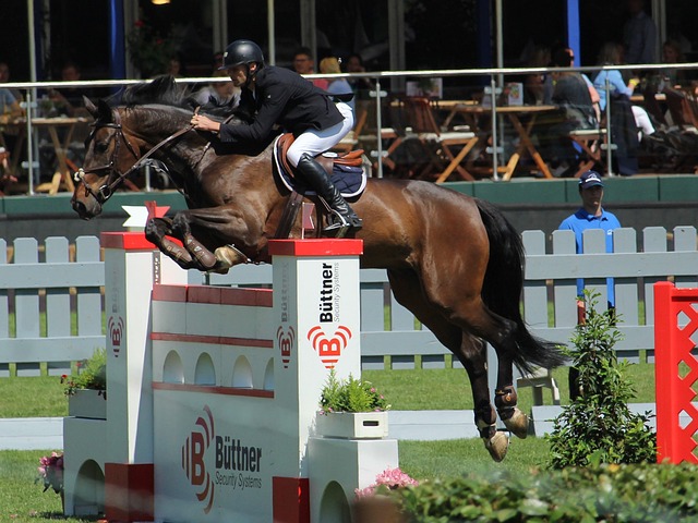 于他在球场 于他在球场