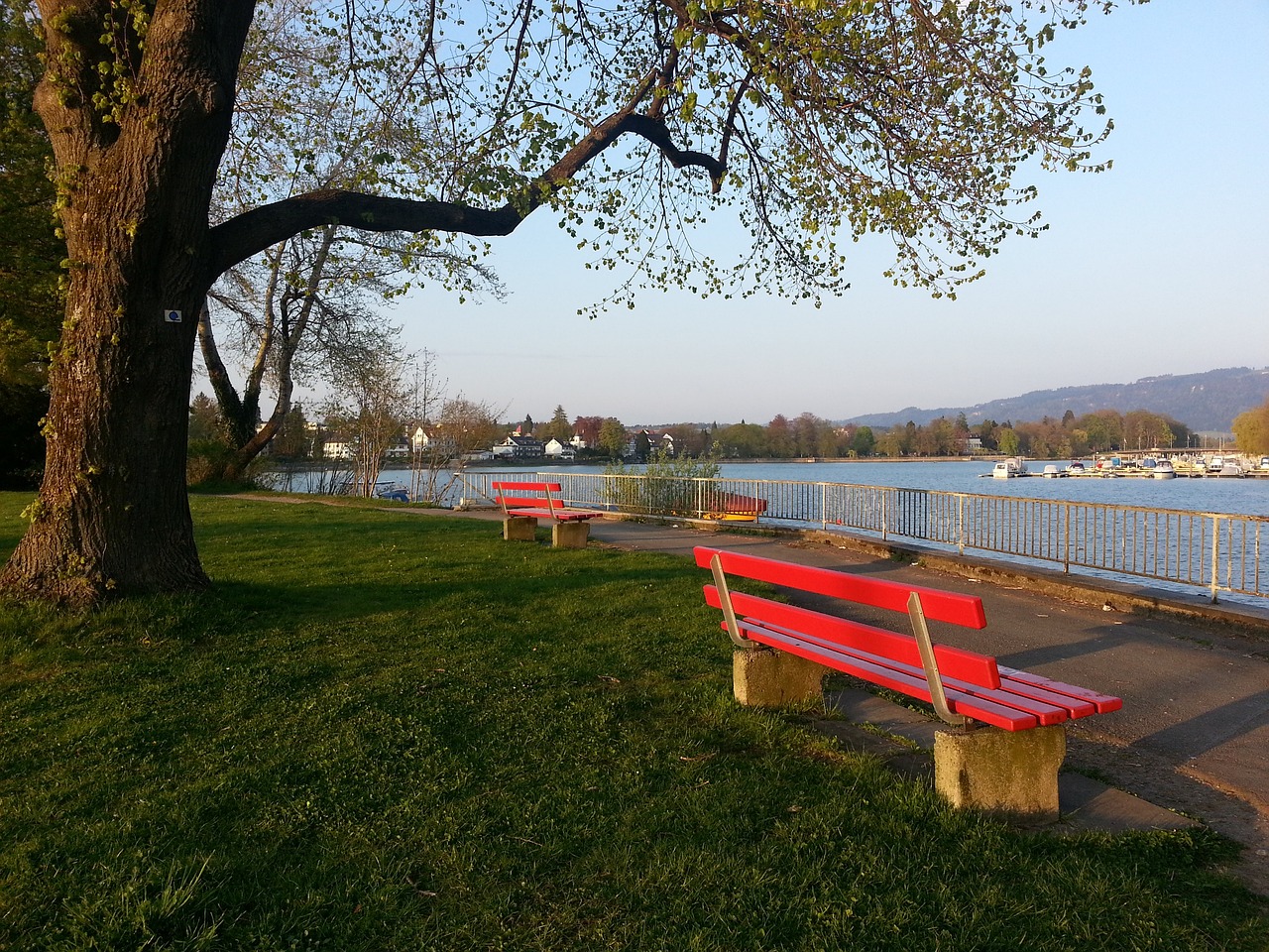 格都有其价 格都有其价