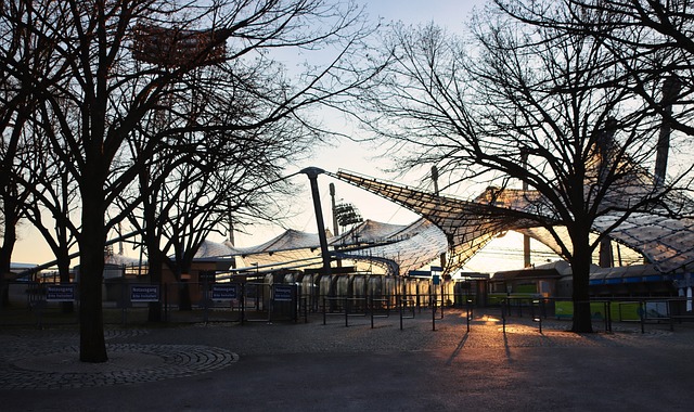 为体育圈的 为体育圈的