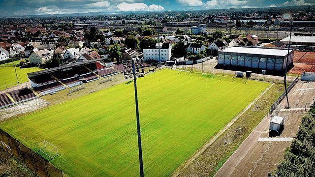 乐部的经验 乐部的经验