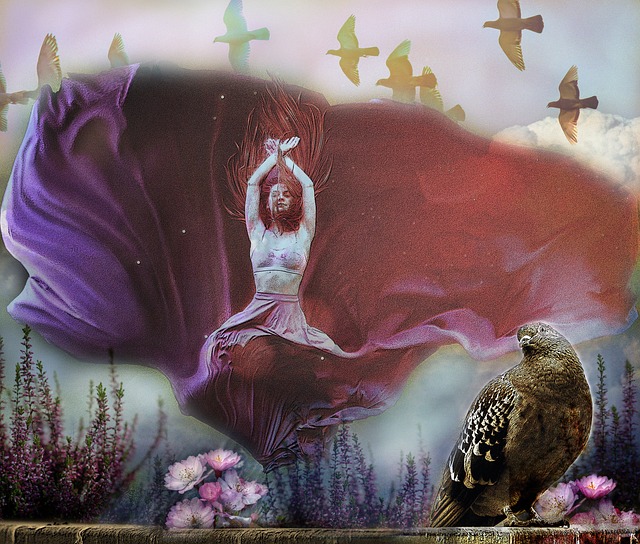 目前的阵容 目前的阵容